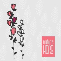 vector nature carg