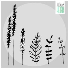 vector nature carg N4