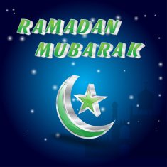 Ramadan Kareem Vector Illustration Greeting Card N17