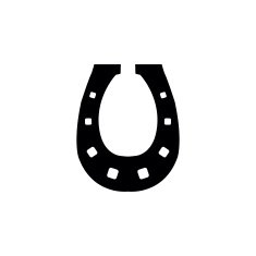 Horseshoe illustration N2