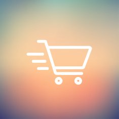 Fast delivery shopping cart thin line icon N3