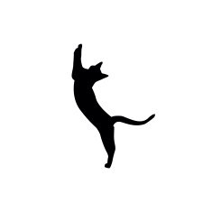 Cat Silhouette N49