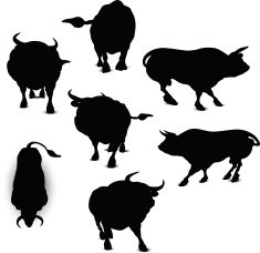 Bull Silhouette N18