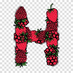 Letter H made from red berries sketch for your design N2