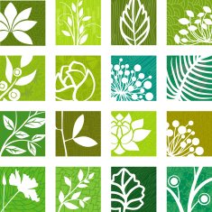 Nature Icons N6