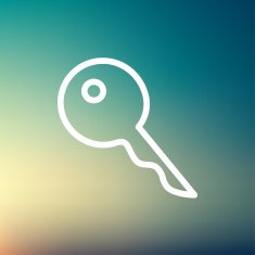Key thin line icon N2
