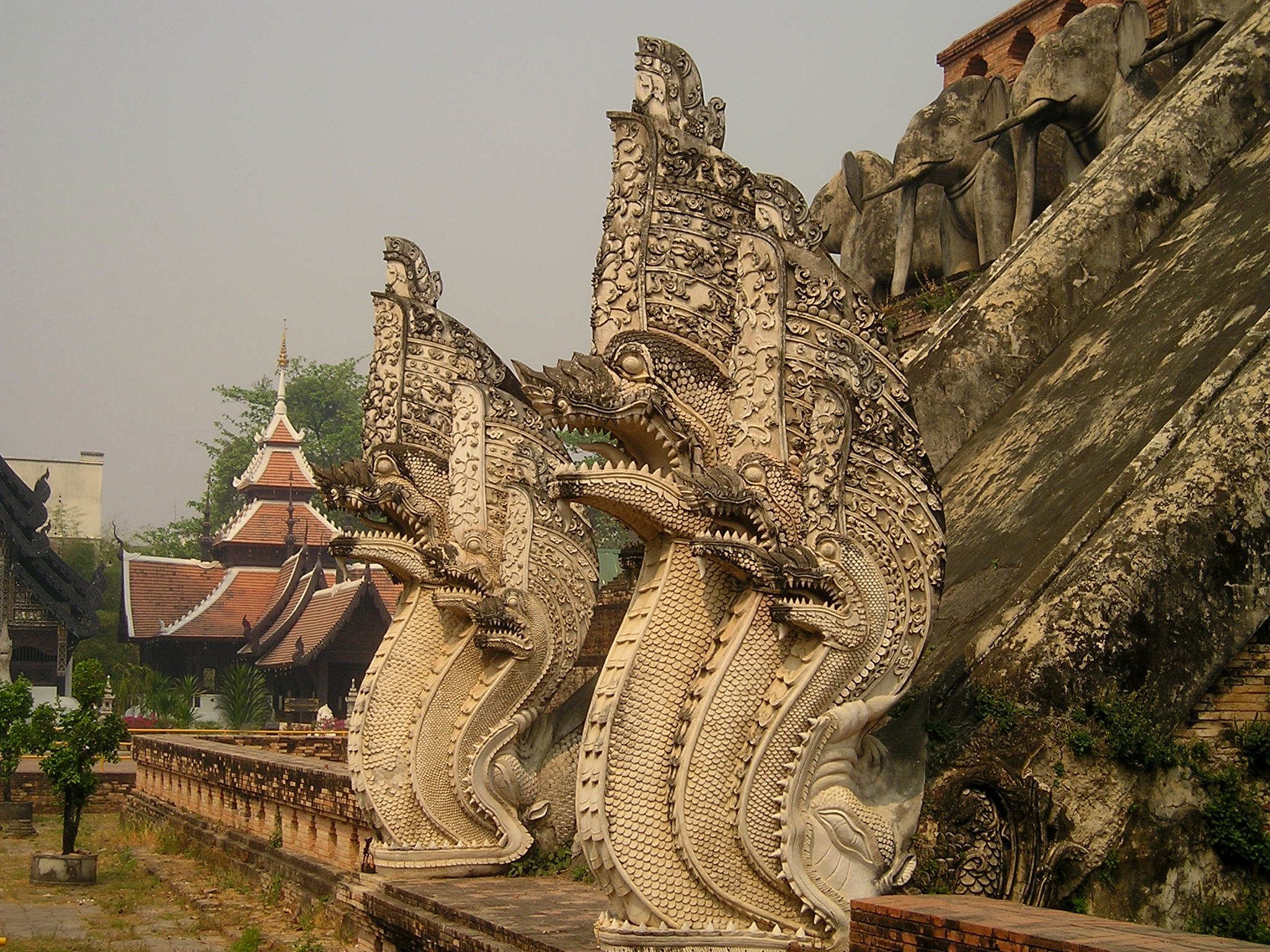 Змеиный храм. Храм дракона в Китае. Храм дракона в Таиланде. Храм змей Naga. Окаменевшая змея в Тайланде.