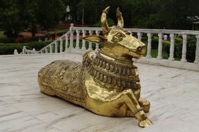 golden bull in the Indian temple