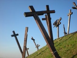 wooden crosses on a green hill