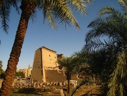 ancient temple ruin, egypt, luxor