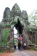 elephant in siem reap