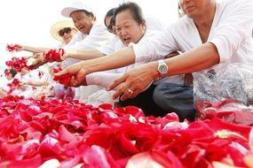 rose petals at the festival in Thailand