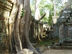 Ancient temple in Siem Reap, Cambodia