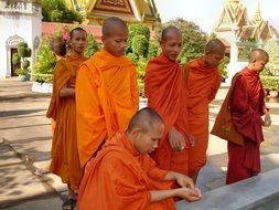 monk religion monks buddhism faith