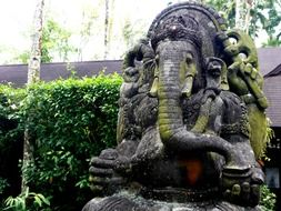 ganesha elephant
