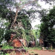 temple ruin overgrown with trees, cambodia, siem reap