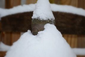 snow on buddha statue