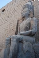 statue near the temple in egypt