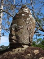 face buddha statue