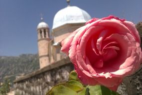 greece church and rose