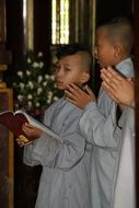 the monks of Buddhism in Vietnam
