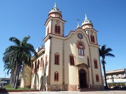 catholic church among palm trees