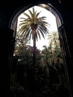 Cathedral in Barcelona