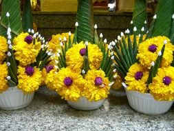 flower arrangements in the temples of Thailand