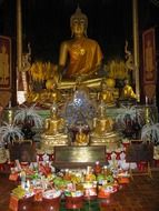 chiang mai temple with gold buddha