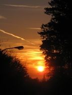 sunrise behind green trees