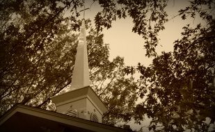 top of the church between the trees