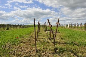 Prato cemetery