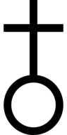 cross as a symbol of man