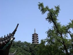 temple towers in green trees