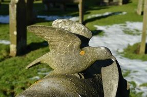 Stone dove statue