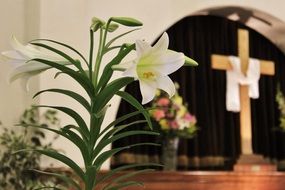 picture of the white flowers at the background of the cross