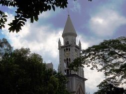 the bell tower of the church behind the trees, brazil, sÃ£o paulo