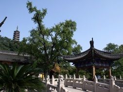 buddha temple in asia