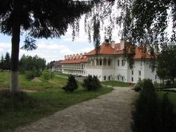 Orthodox Church in Europe