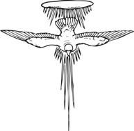 dove flying symbol drawing