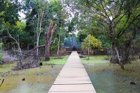 neak pean temple