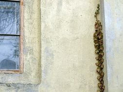 window and wall of church in the city of modra in slovakia