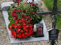 flowers in the old cemetery