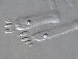 relief of a foot in the sand