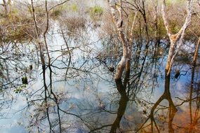 neak pean temple reflection on water, cambodia, siem reap