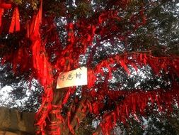 request flag prayer flags