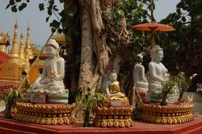 buddha statues in burma