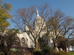 White the basilica church
