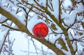 snow christmas decoration