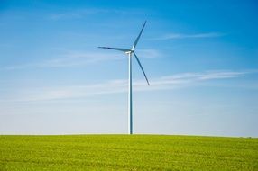 wind turbine among the bright green field